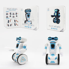 RC Balancing Stunt Robot